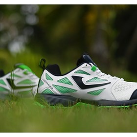 Professional Sports General Trading Co.: Professional Sports General Trading Co.